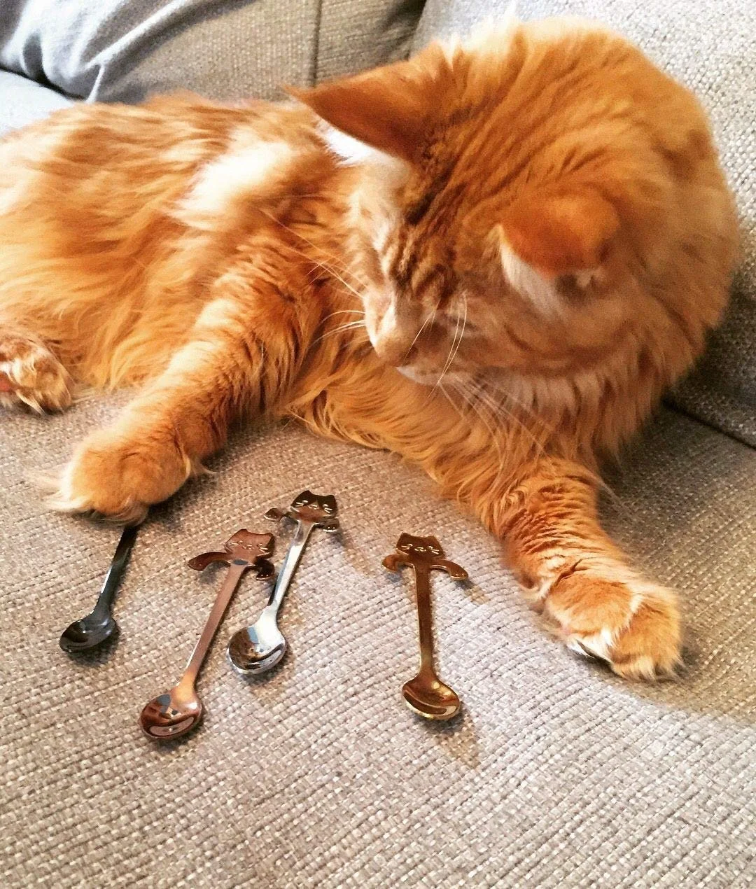 Ложка AYOMI Котячий дизайн з нержавіючої сталі 4 шт., фото №9 Ложка AYOMI Котячий дизайн з нержавіючої сталі 4 шт., фото №9