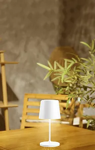 LED Настільна лампа Technoline Lichtzauber Deluxe T9600 2-в-1 акумуляторна USB-C 3 режими 37 см / 22 см Біла. synthetic.ua - Фото 1