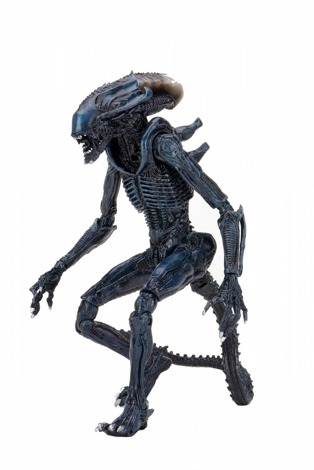 Фігурка Інопланетянин-Arachnoid Alien NECA Reel Toys Aliens 23 см, фото №1