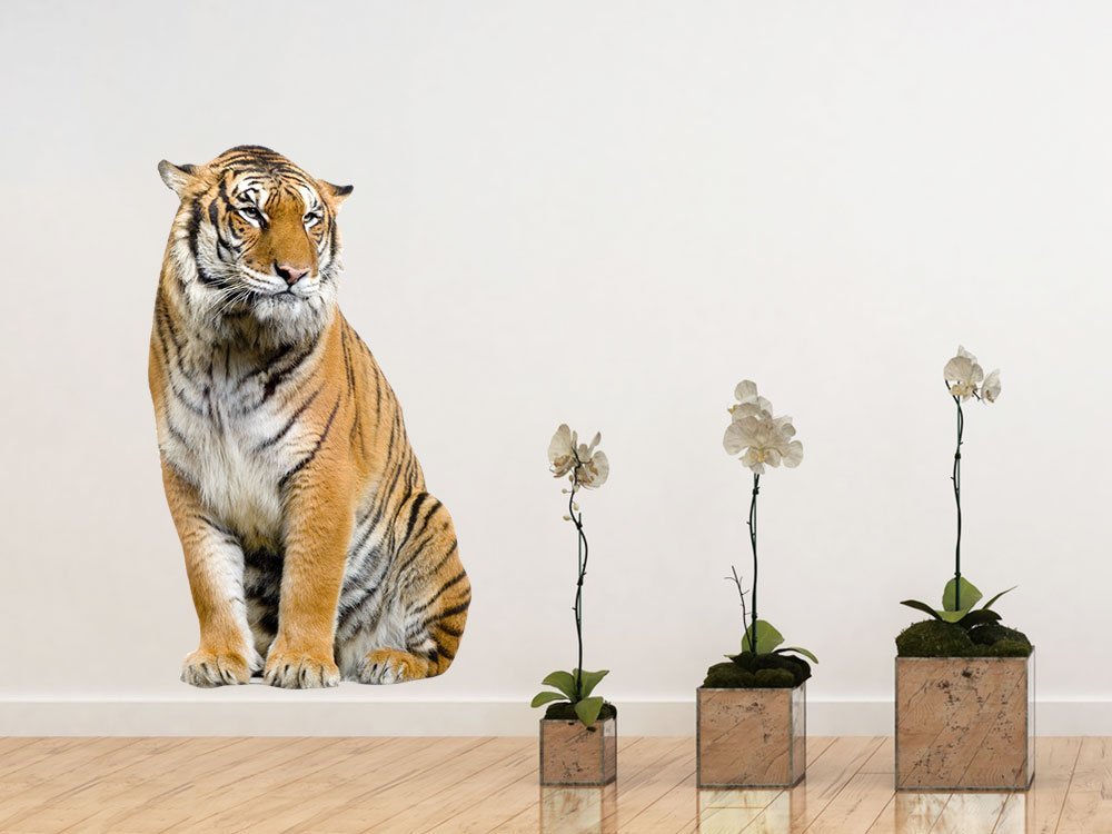 Наклейка на стіну GRAZDesign Tiger Sitting 3D 50 x 30 см, фото №7 Наклейка на стіну GRAZDesign Tiger Sitting 3D 50 x 30 см, фото №7
