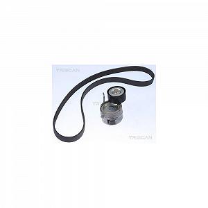 Комплект поликлинового ремня TRISCAN 8642 10022 для CITROËN PEUGEOT DS - Фото 1