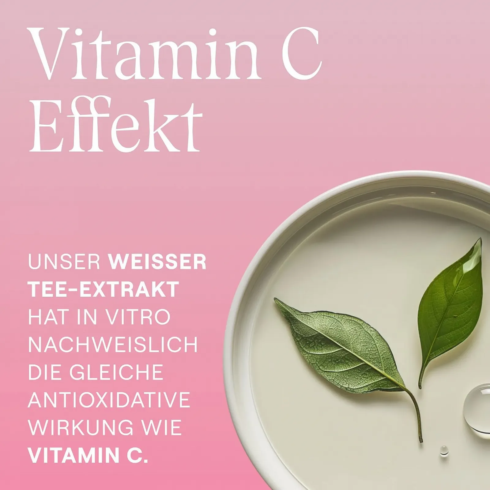 Денний крем WELEDA Wild Rose & White Tea Organic Smoothing Vegan, 40 мл, фото №5 Денний крем WELEDA Wild Rose & White Tea Organic Smoothing Vegan, 40 мл, фото №5