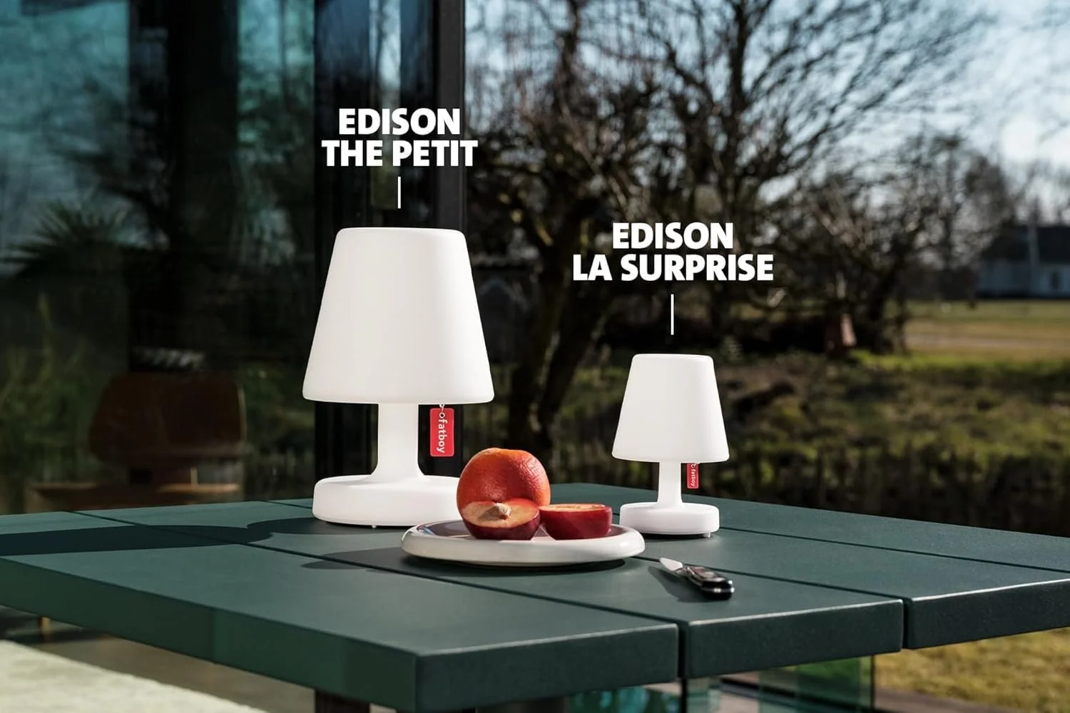 Настільна лампа Fatboy Edison the Petit LED Акумуляторна Біла, фото №6