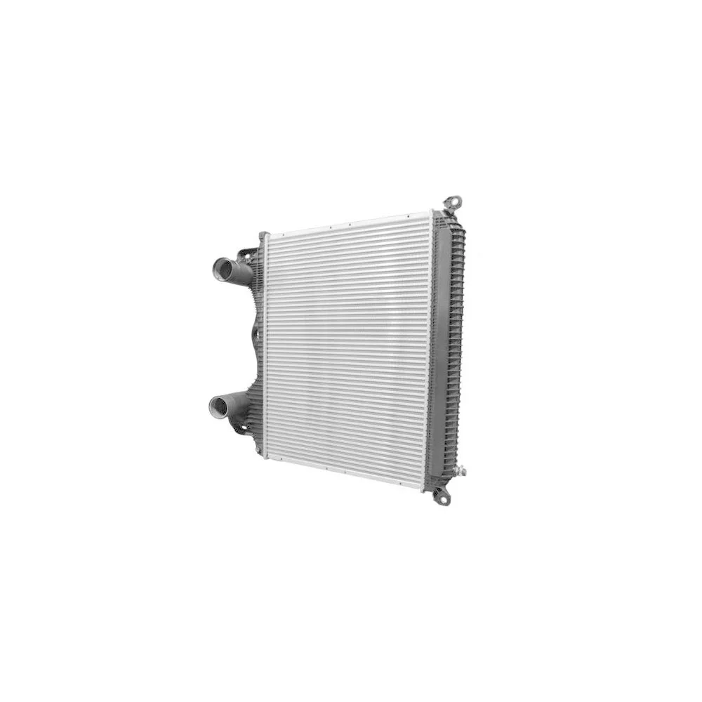 Інтеркулер HELLA 8ML 366 340-151 для MAN, фото №1