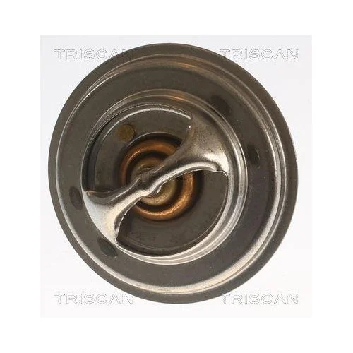 Термостат охолоджувальної рідини TRISCAN 8620 7082, фото №3