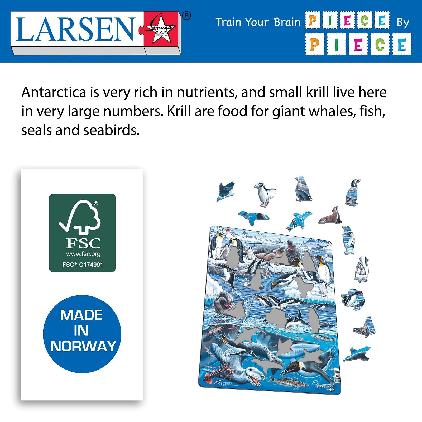 Пазл-рамка Larsen FH48 Антарктика 66 елементів, фото №5
