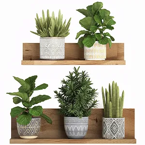 Наклейка на стіну 3D Зелені рослини Квіти Кактус Бонсай ПВХ 5 шт - Фото 1