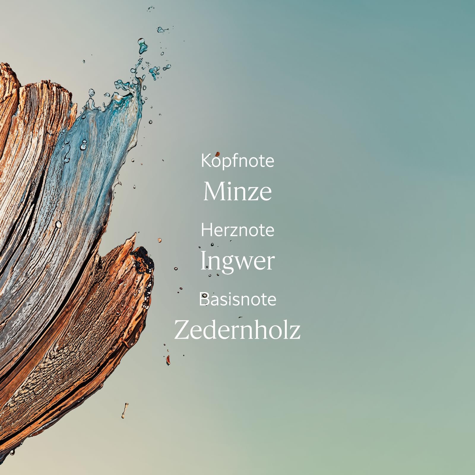 Гель для душа L'OCCITANE Cèdre Gingembre (ранее Cap Cédrat) производства Франции, фото №4