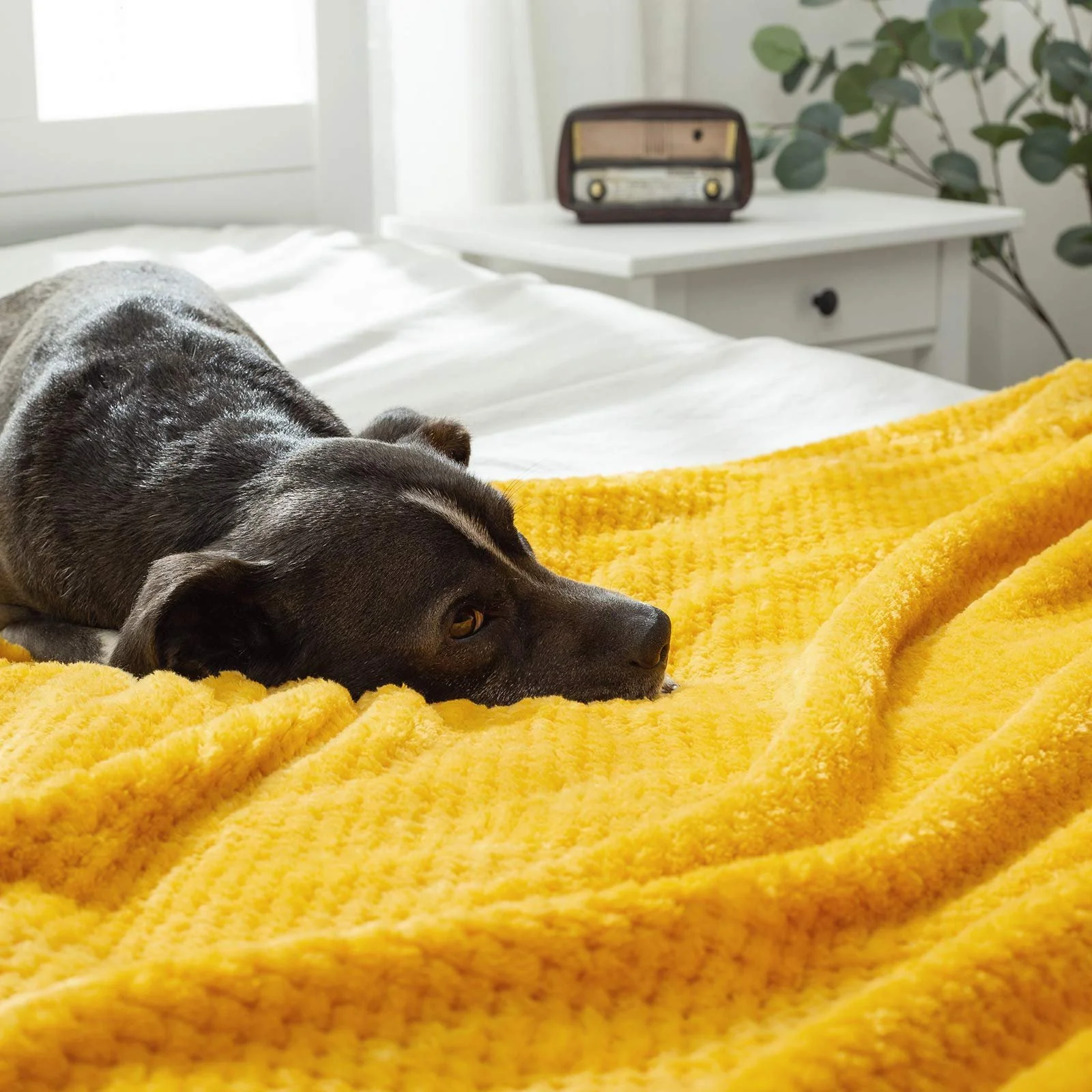 Покривало MIULEE Гранули Флісова Пухнаста Однотонна, фото №5