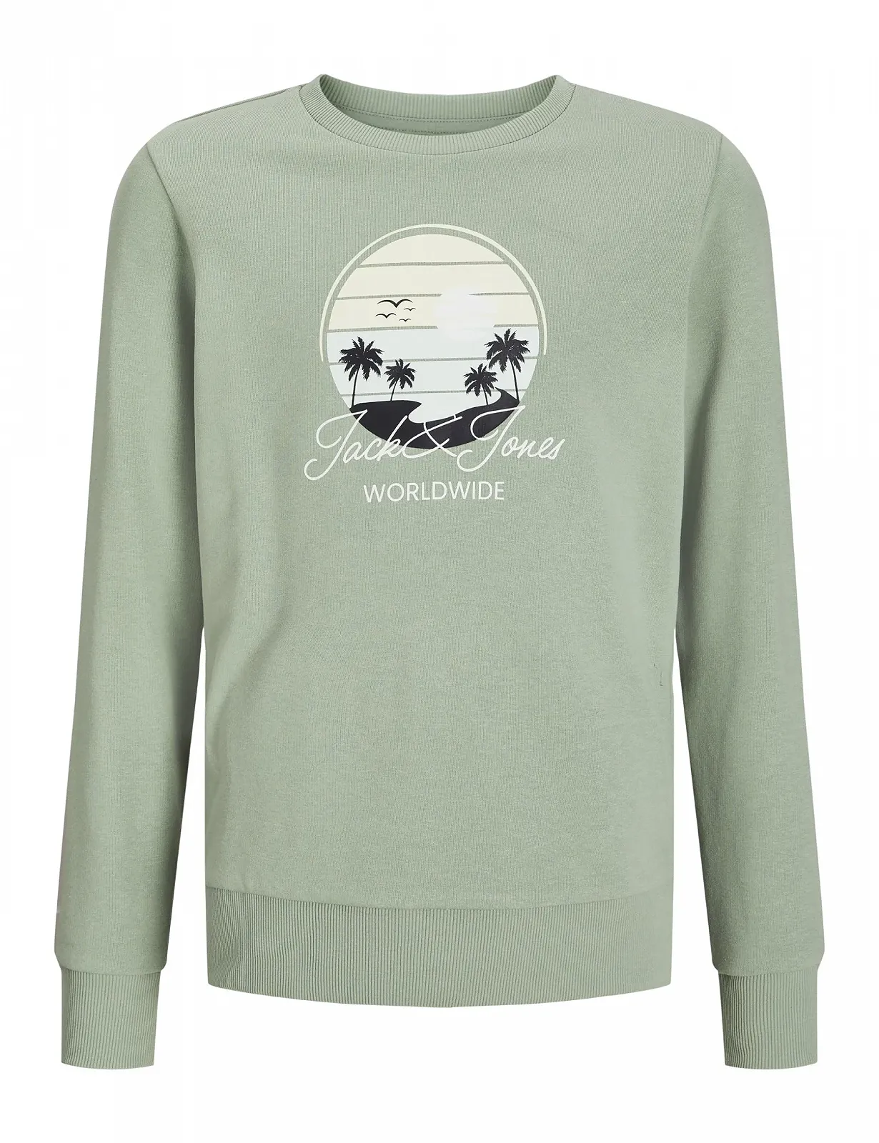 Світшот JACK & JONES Jjpalm Sweat Crew Neck Jnr, фото №1