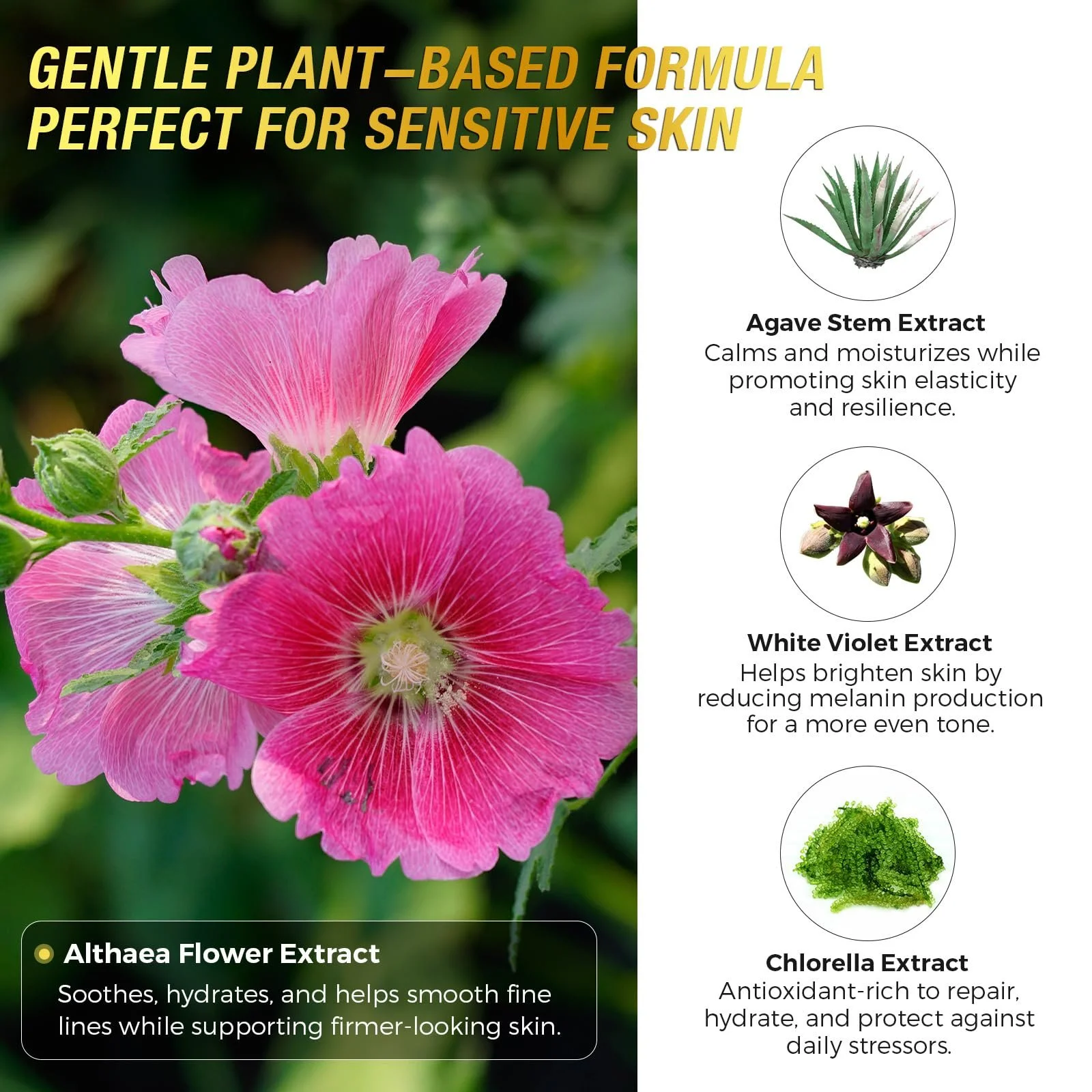 Нічна маска-обгортання Collagen (75 мл) - Маска зі слизом равлика, Нічна маска для обличчя з колагеном, фото №6 Нічна маска-обгортання Collagen (75 мл) - Маска зі слизом равлика, Нічна маска для обличчя з колагеном, фото №6