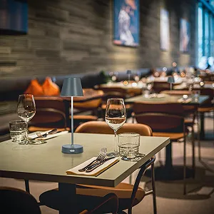 Настільна лампа LED EDO NELI 2.7 W Бездротова Акумуляторна з регулюванням яскравості 3 колірні температури CCT 2700K-6500K USB-C synthetic.ua - Фото 1