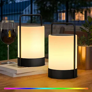 Настольные лампы MALUX набор 2 шт солнечные RGB LED IP44 с пультом и аккумулятором - Фото 1