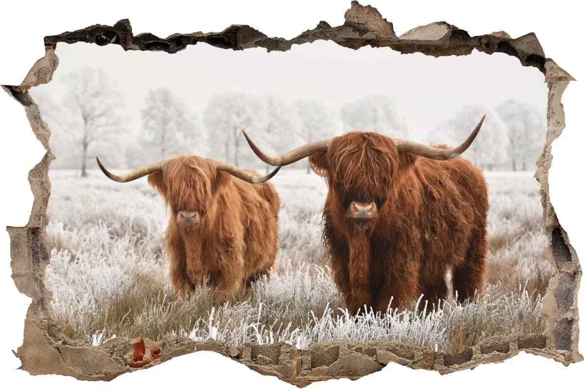 Наклейка на стіну DW000060 Highland Cattle in Snow 90 x 60 см Коричнева, фото №1
