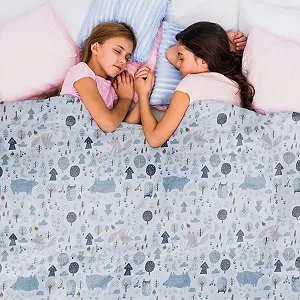 Одеяло утяжеленное Dailydream Детское 90 x 120 см 2.3 кг Forest Motif 100% Хлопок со стеклянными шариками Тяжелое одеяло для сна Вес тела 20-35 кг цена на synthetic.ua - Фото 1 Одеяло утяжеленное Dailydream Детское 90 x 120 см 2.3 кг Forest Motif 100% Хлопок со стеклянными шариками Тяжелое одеяло для сна Вес тела 20-35 кг synthetic.ua - Фото 1