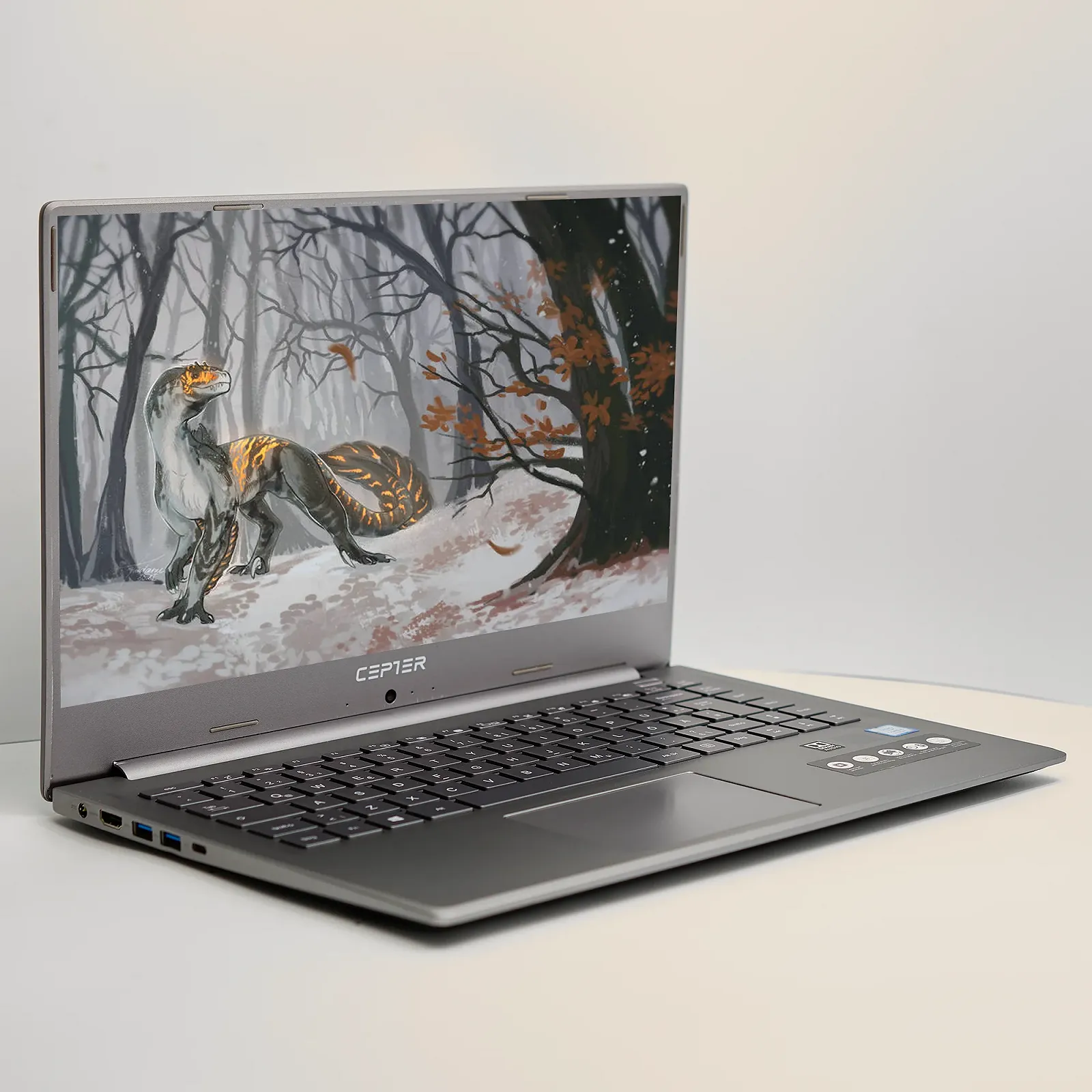 Ноутбук 15.6'' Medion (Lenovo Group) Akoya P15649 | Intel Core i5-8265U | IPS (1920x1080) FullHD | RAM 8 ГБ | SSD 256 ГБ | Intel UHD Graphics 620 | Металевий корпус | Win11 (5015), фото №4