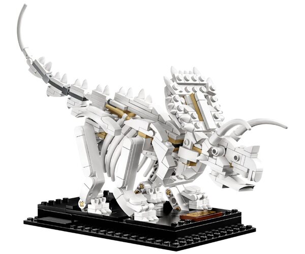 Конструктор LEGO Ideas Окаменелости динозавров (21320), фото №6