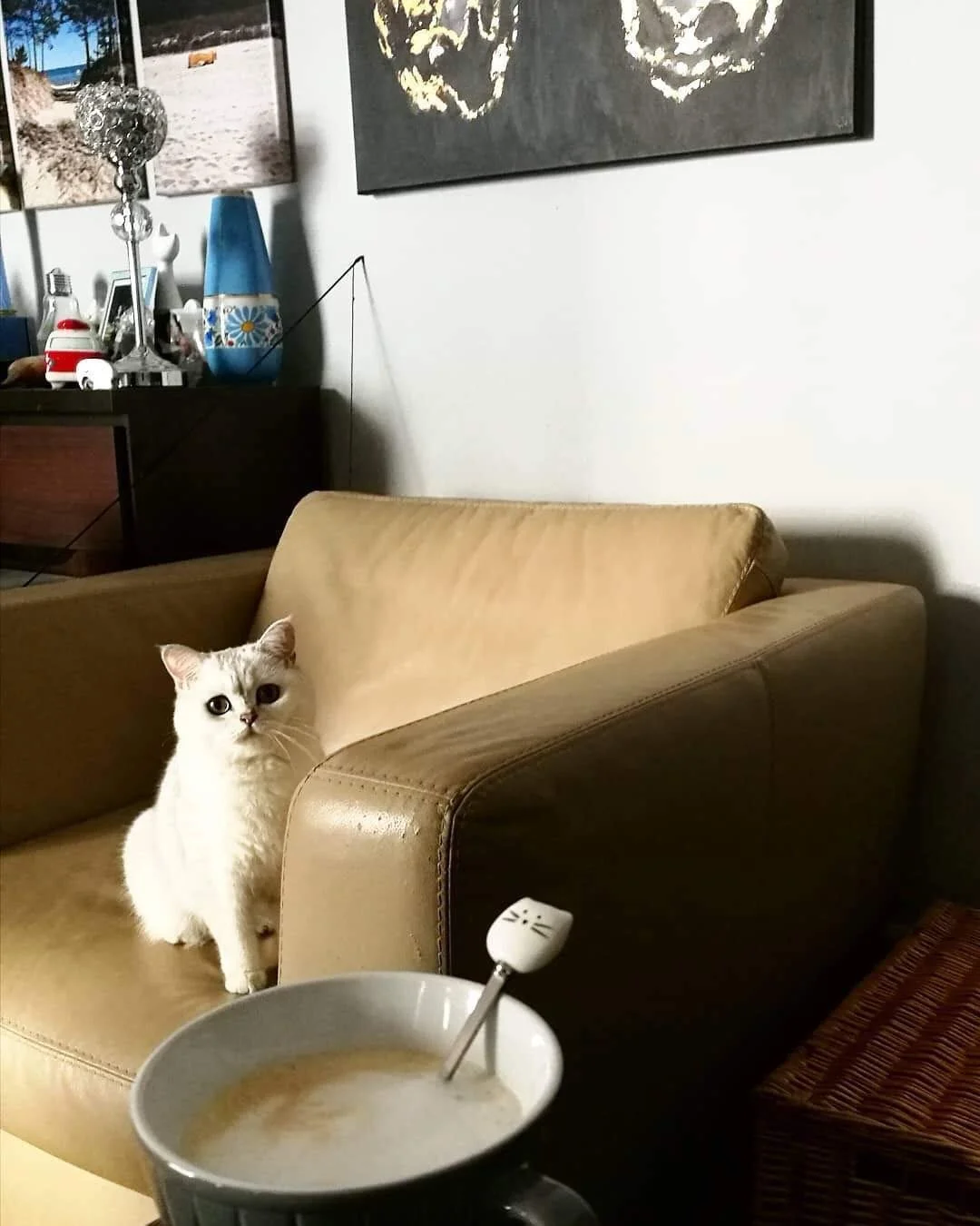 Ложка Ayomi Котяча, набір 4 шт, фото №6