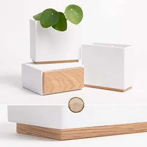 Настенные вазы Kazai. Alma набор из 3 шт. белые цена на synthetic.ua - Фото 1 Настенные вазы Kazai. Alma набор из 3 шт. белые synthetic.ua - Фото 1