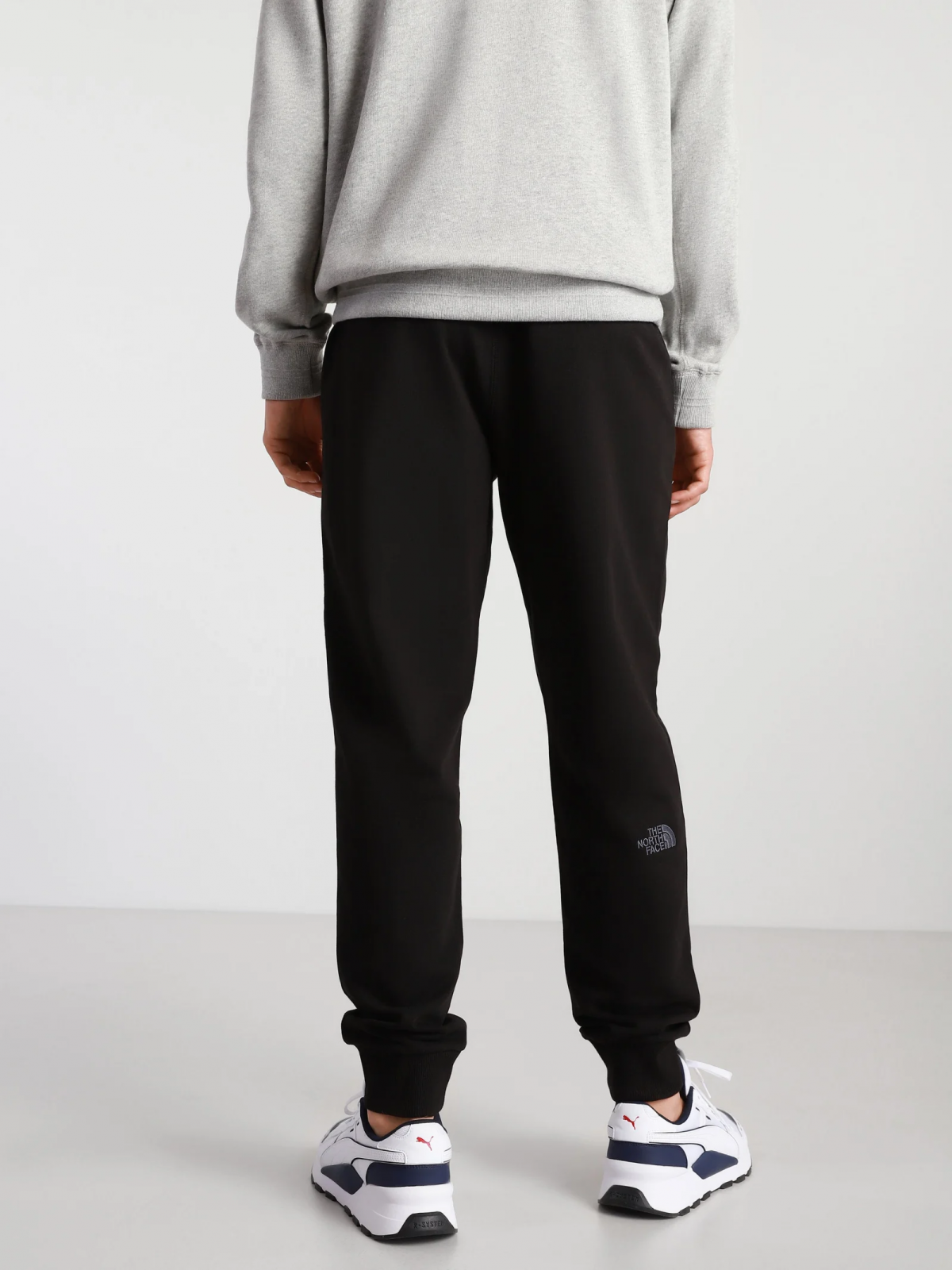 Штаны THE NORTH FACE NSE LIGHT PANT Черный L, фото №2