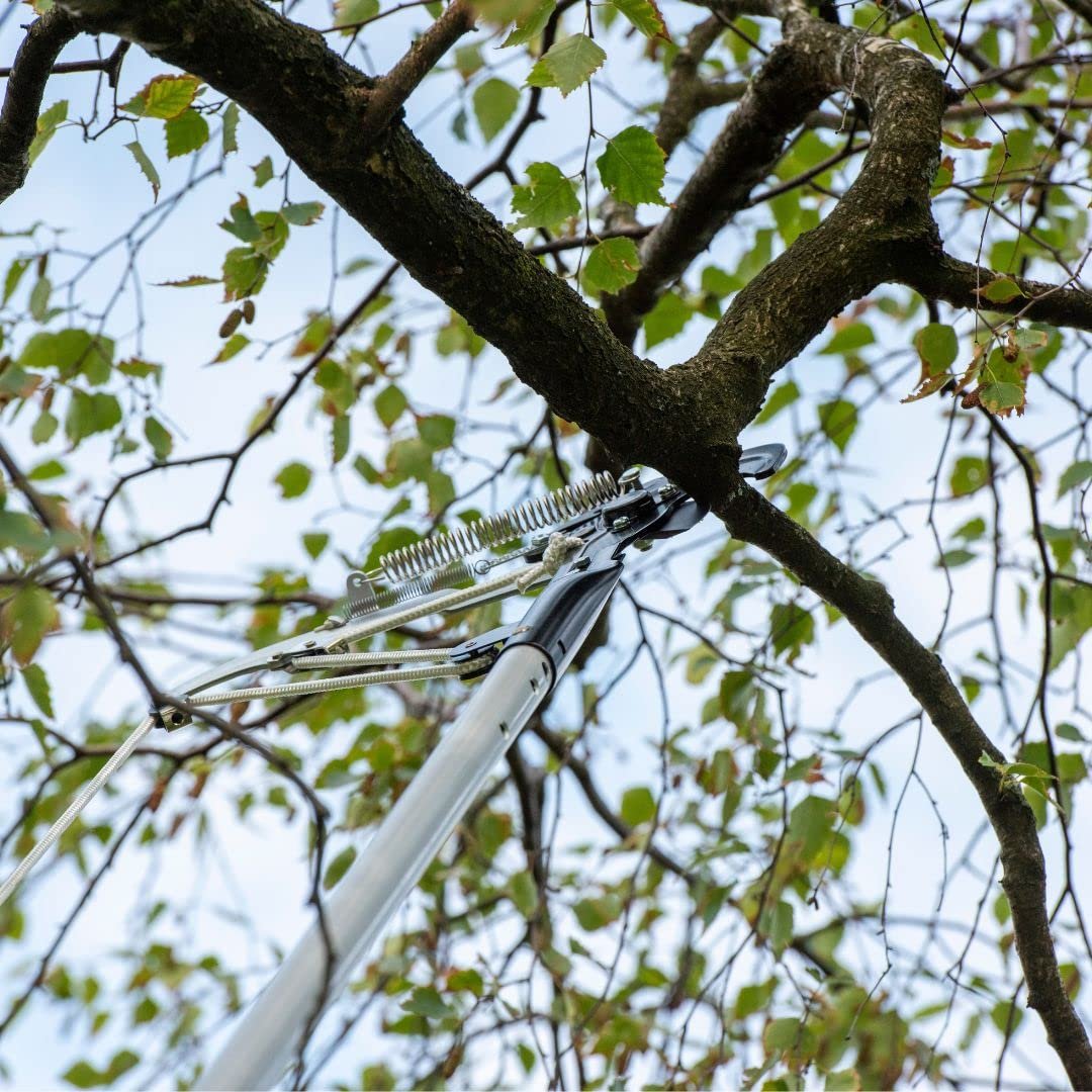 Ножиці BERGER ArboRapid, фото №7 Ножиці BERGER ArboRapid, фото №7