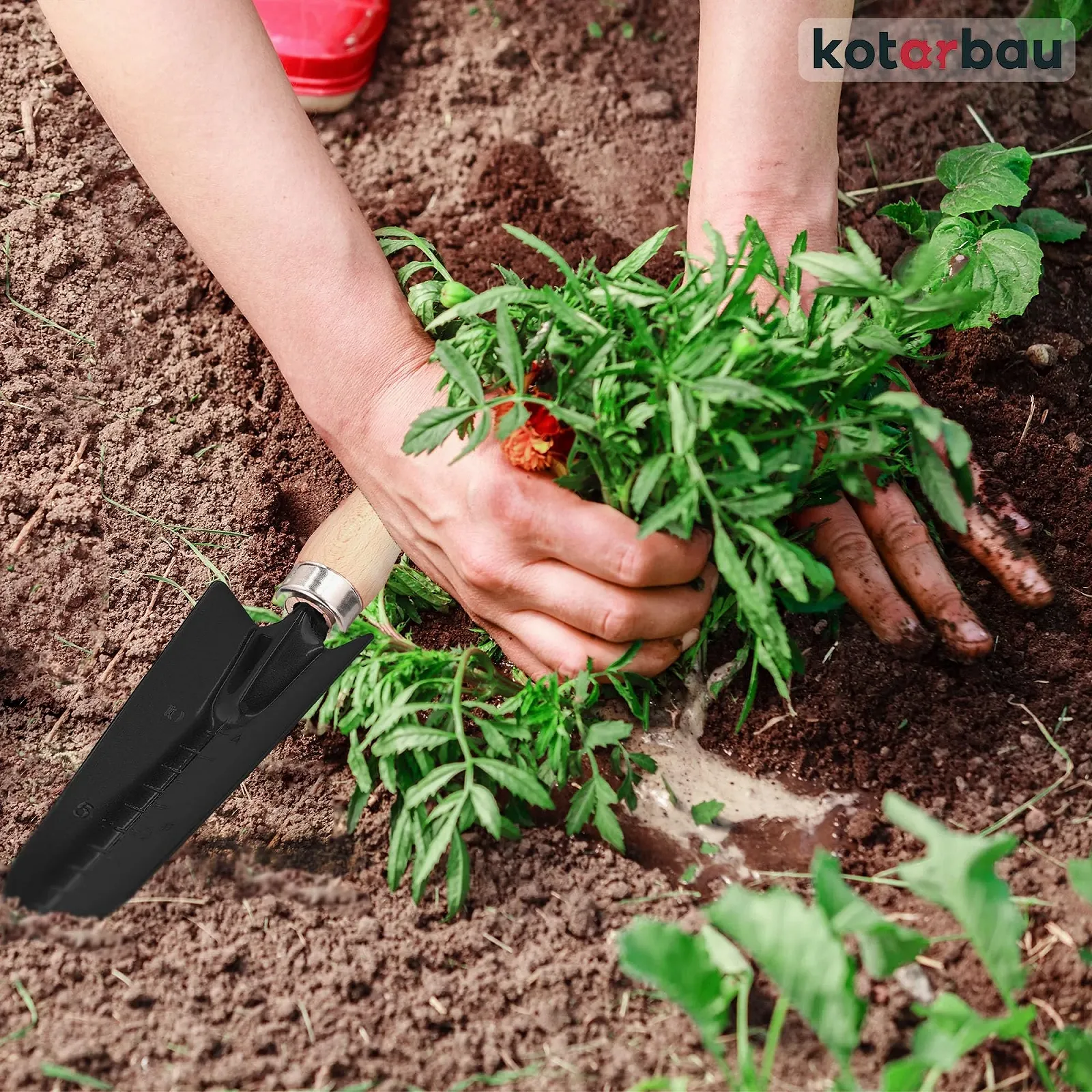 Лопата совковая Kotarbau Mini для пересадки с мерной шкалой, стальной, тяжелой конструкции, фото №3 Лопата совковая Kotarbau Mini для пересадки с мерной шкалой, стальной, тяжелой конструкции, фото №3