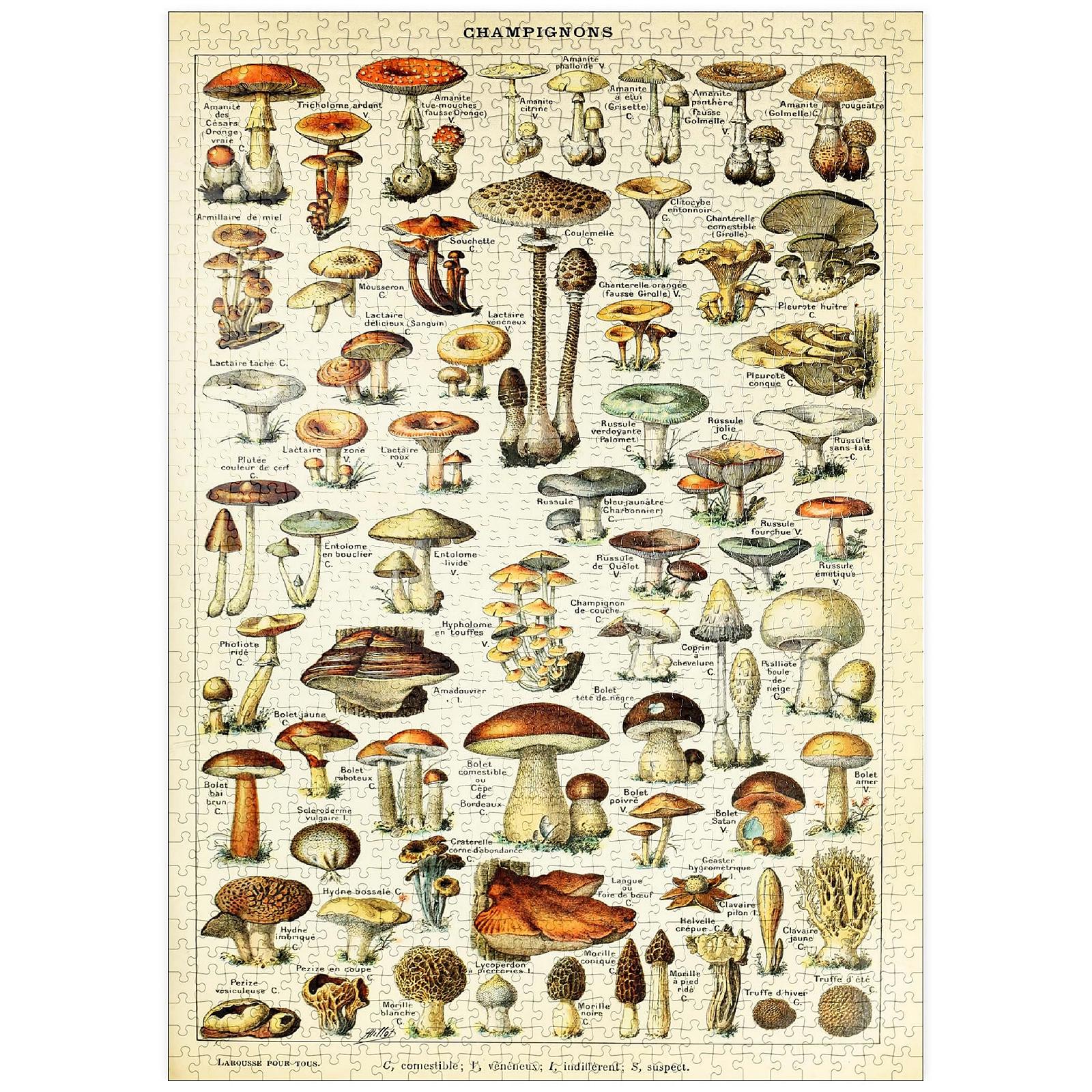 Пазл MyPuzzle Havana Puzzle Company Champignons 1000 элементов 68 x 48 см, фото №1 Пазл MyPuzzle Havana Puzzle Company Champignons 1000 элементов 68 x 48 см, фото №1