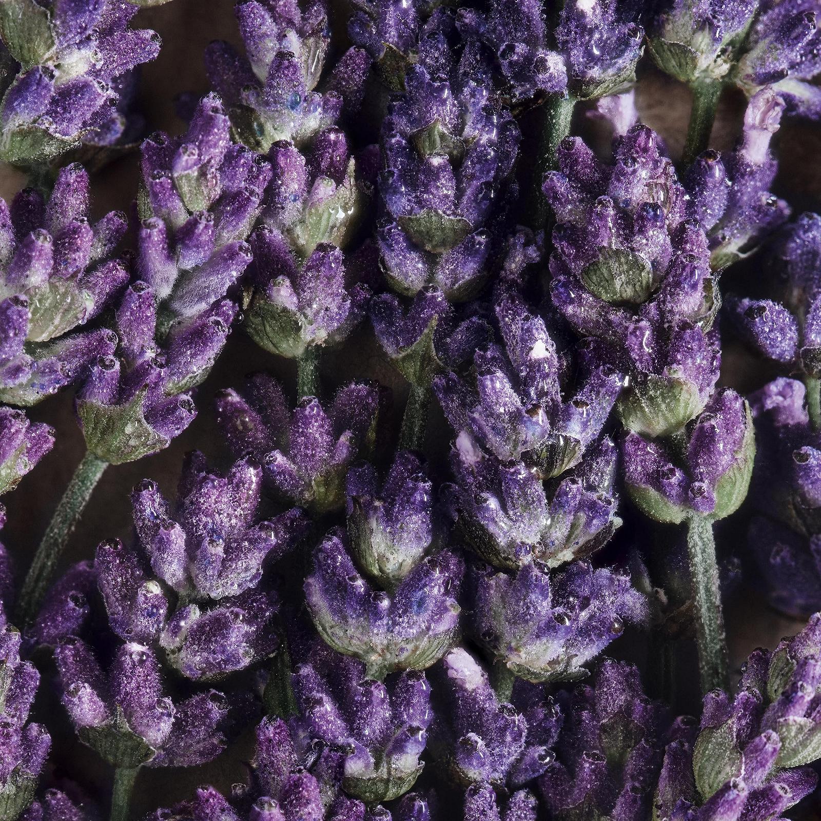 Гель для душа DAVIDOFF Cool Water Man мужской, фото №3