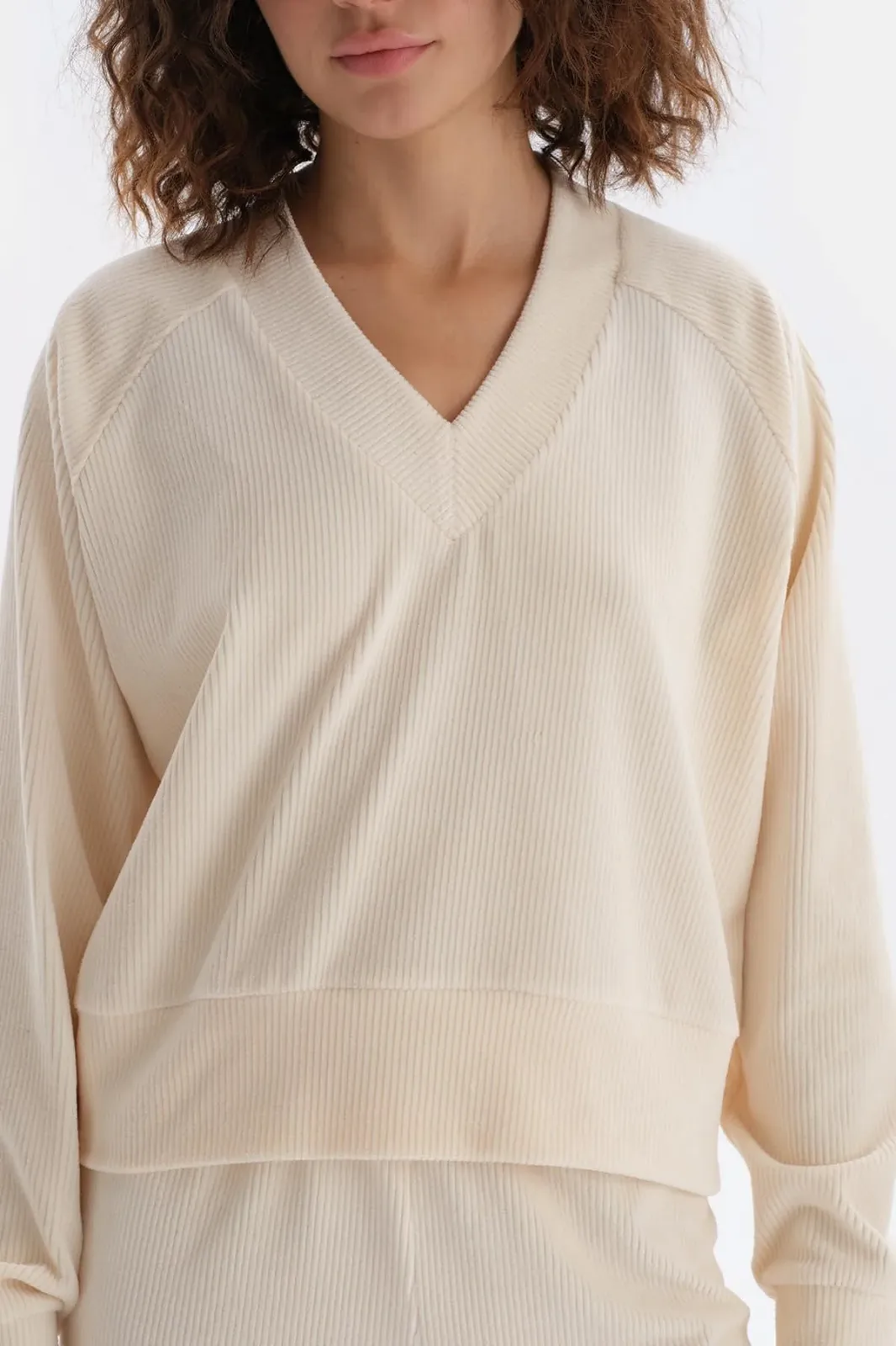 Женская Велюровая Толстовка Dagi С V-образным вырезом и рукавами реглан, фото №4 Женская Велюровая Толстовка Dagi С V-образным вырезом и рукавами реглан, фото №4