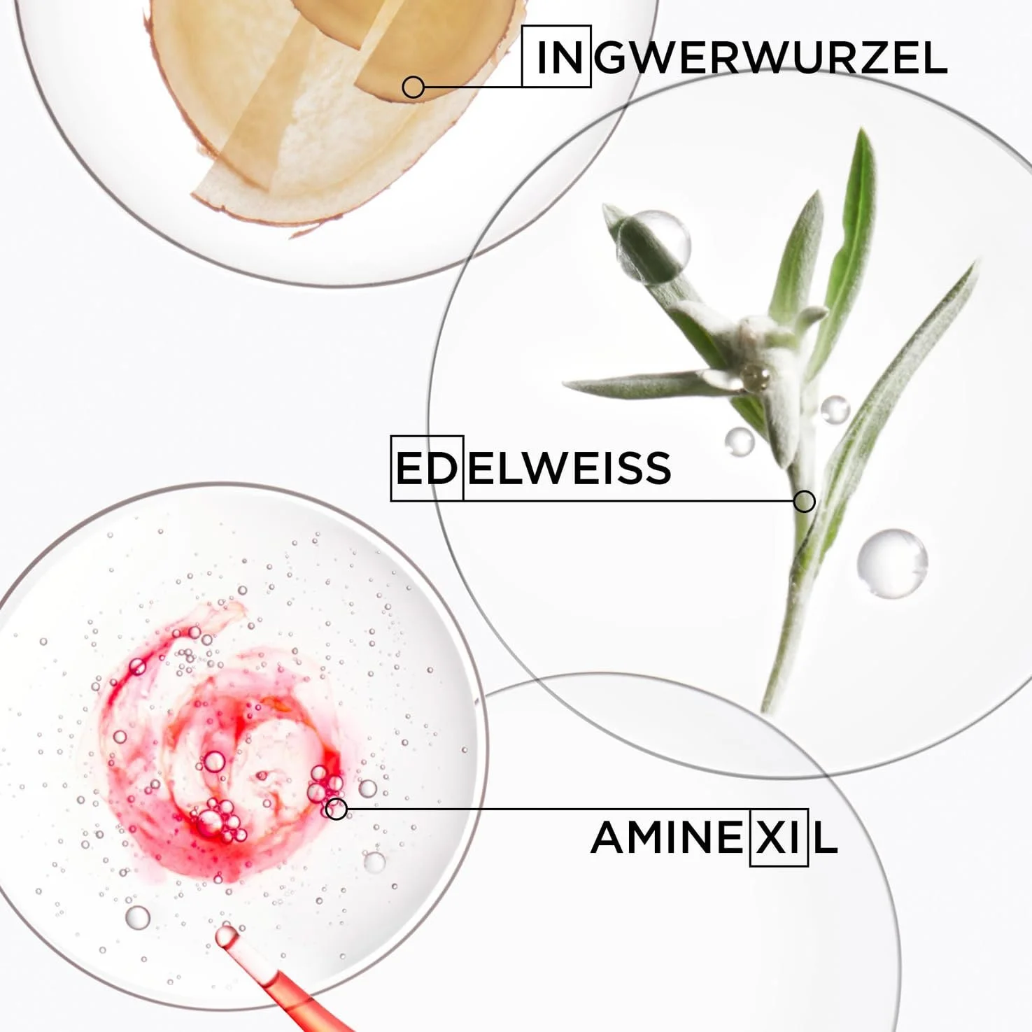 Шампунь Kérastase Genesis Bain Nutri-Fortifiant, фото №5