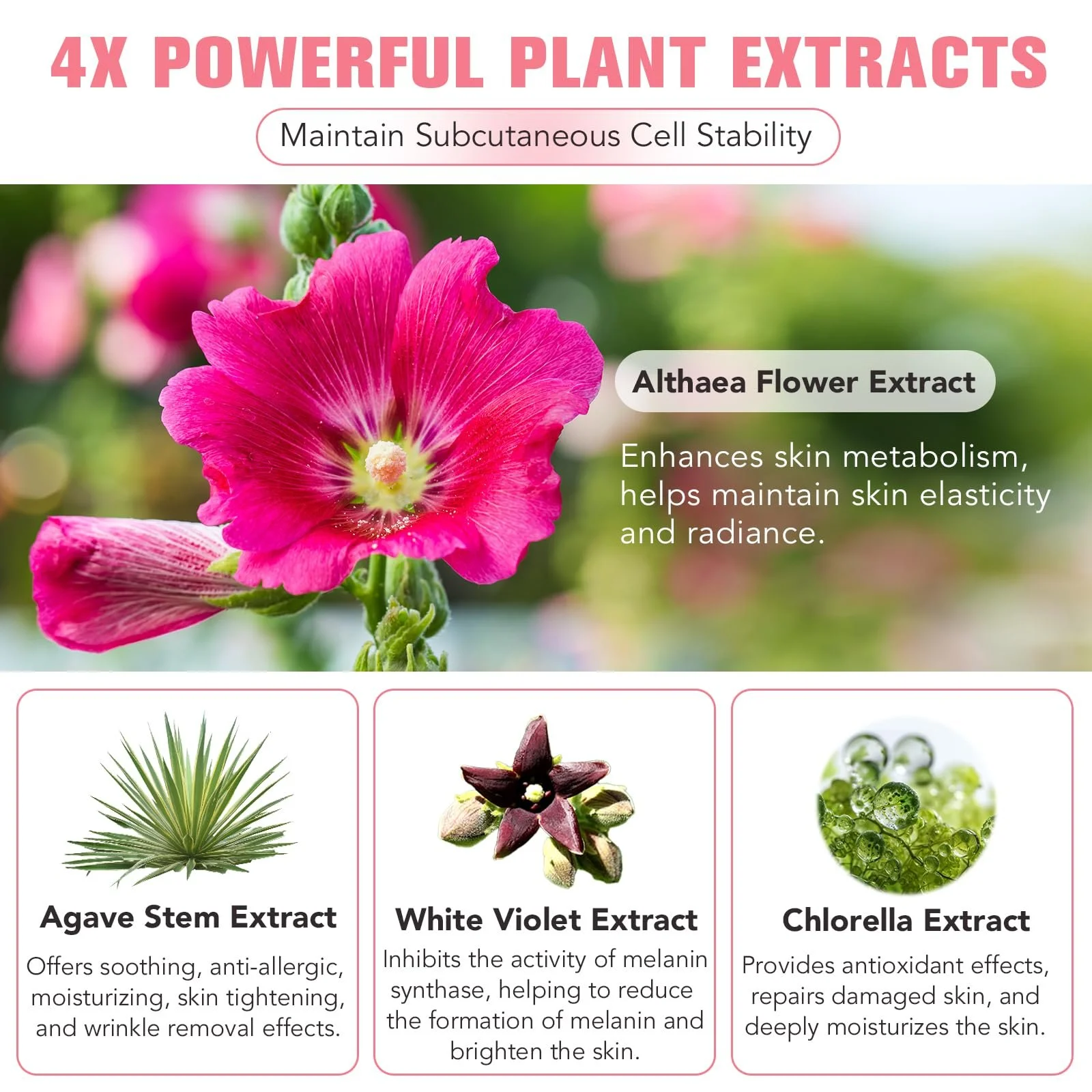 Нічна маска для обличчя Collagen, Маска для обличчя з колагеном нічна, фото №7