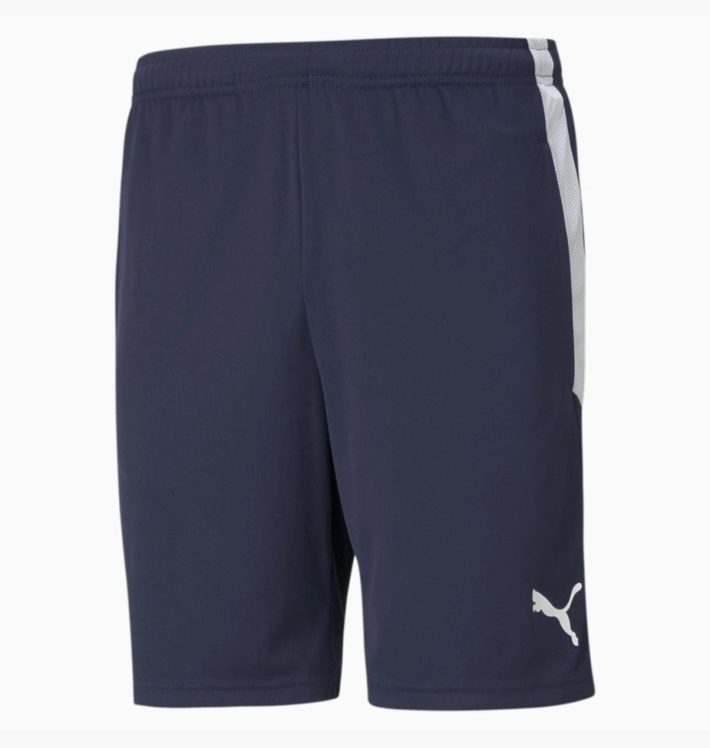 Шорты Puma Teamliga Training Shorts 657249-06 Синий S, фото №1