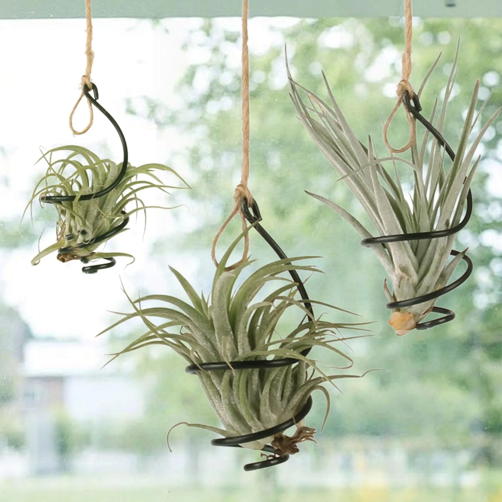 Набор подвесных держателей для воздушных растений 6 шт. с джутовыми веревками, фото №5 Набор подвесных держателей для воздушных растений 6 шт. с джутовыми веревками, фото №5