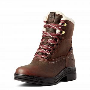Сапоги ARIAT Harper Waterproof 10042437, женские, Chocolat/Willow - Фото 1