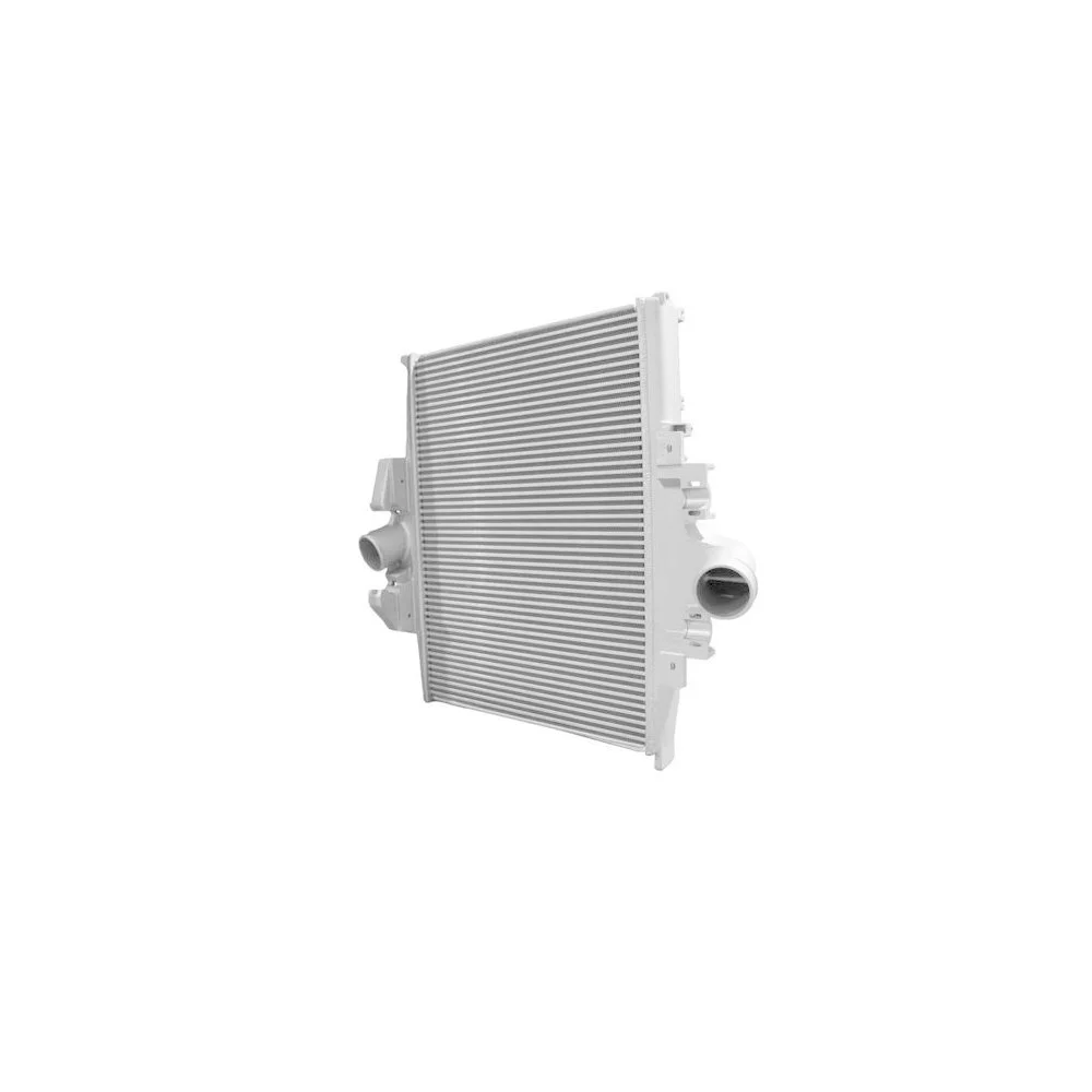 Интеркулер HELLA 8ML 366 340-141 для MERCEDES-BENZ, фото №1