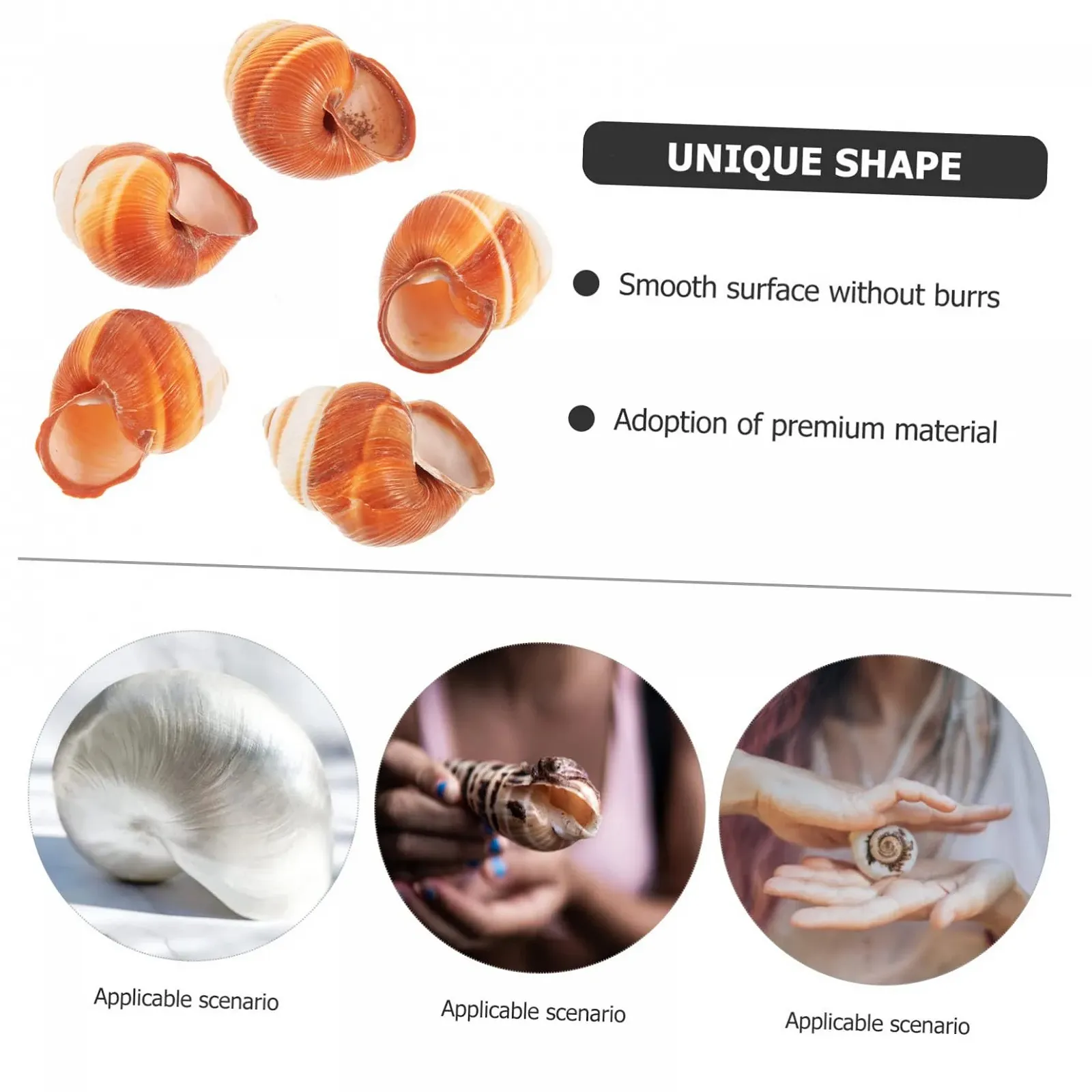 Раковины для запекания улиток BESPORTBLE 15 шт Natural Snail Shell, фото №7