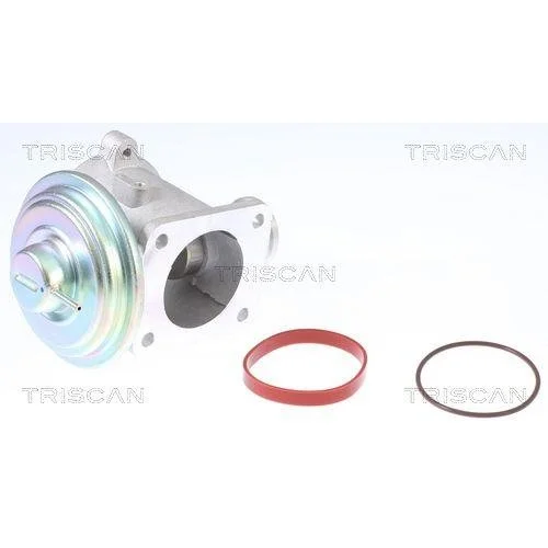 Клапан EGR TRISCAN 8813 11003 для BMW, фото №2