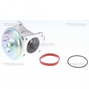 Клапан EGR TRISCAN 8813 11003 для BMW synthetic.ua - Фото 1