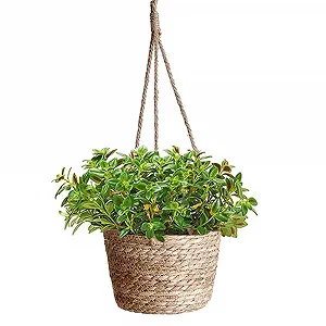 Підвісний квітковий горщик плетений з морської трави Project - Фото 1