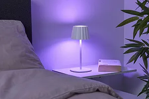 Настільна лампа Northpoint 3-in-1 LED Bottle Light 3000 mAh 200 лм RGB Pleated White synthetic.ua - Фото 1