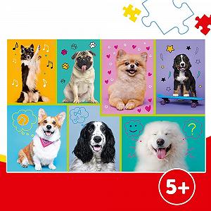 Пазл Trefl In the World of Dogs 100 элементов 5+ цена на synthetic.ua - Фото 1 Пазл Trefl In the World of Dogs 100 элементов 5+ synthetic.ua - Фото 1