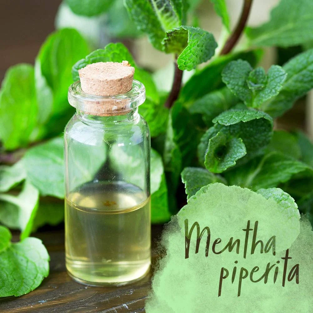 Засіб для росту волосся Vital Fluid Forte	Strong, фото №5