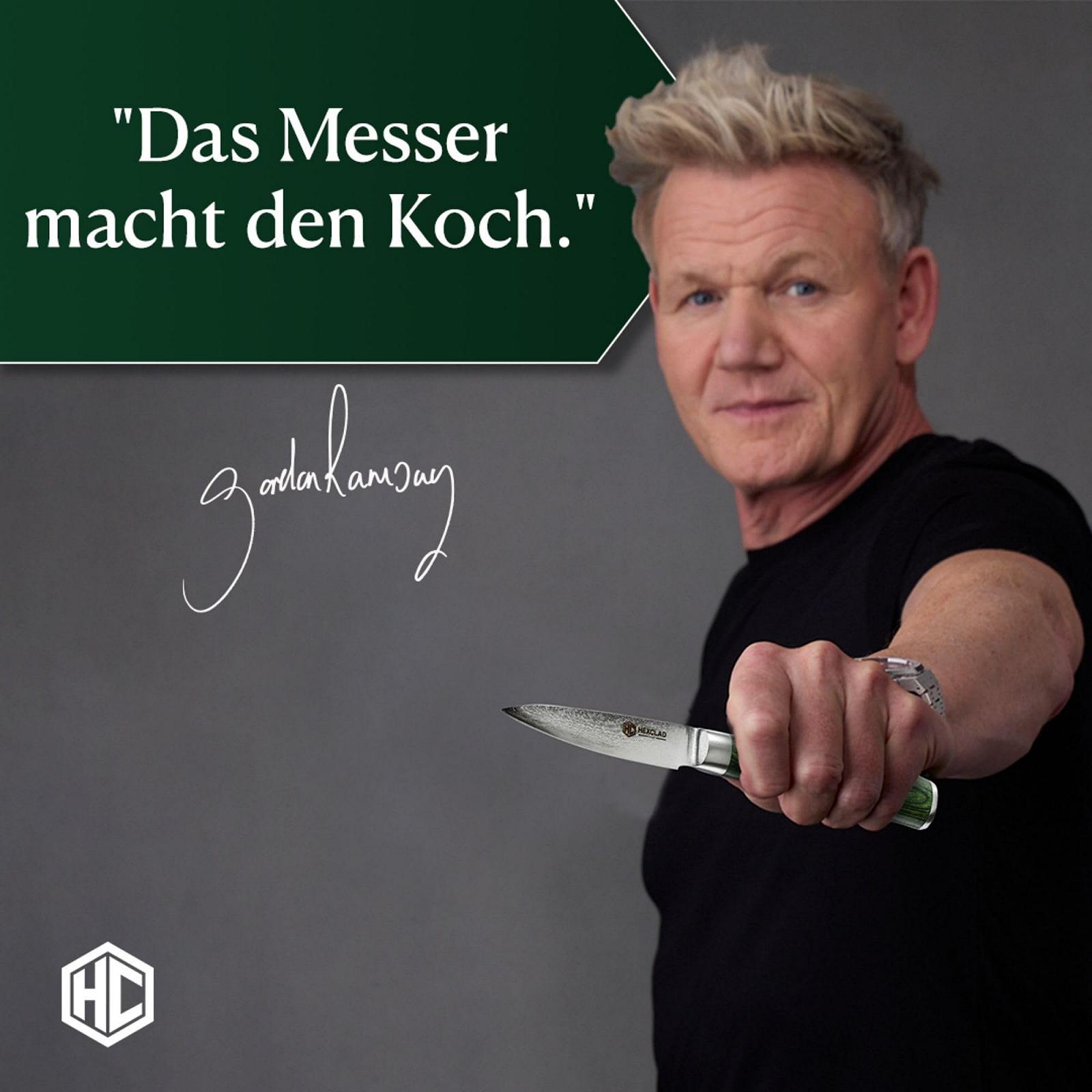 Мусат HexClad 23 см з японської дамаської сталі з ручкою Pakka, фото №2 Мусат HexClad 23 см з японської дамаської сталі з ручкою Pakka, фото №2