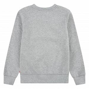 Толстовка Levi's Batwing Crew Neck для хлопчиків (1 шт. в упаковці) synthetic.ua - Фото 1