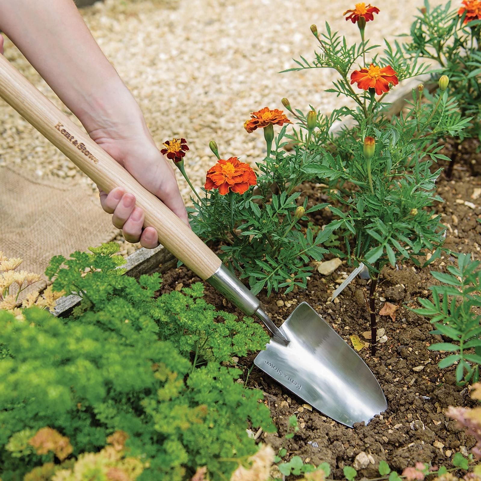 Лопатка Kent & Stowe Длинная ручка, из нержавеющей стали, для посадки цветов в приподнятых грядках, с ручкой из ясеня, 60 см., фото №3