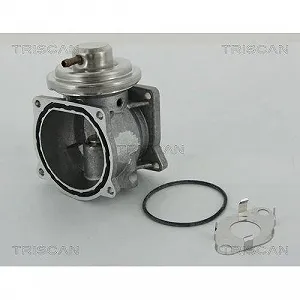 Клапан EGR TRISCAN 8813 29301 для VW synthetic.ua - Фото 1