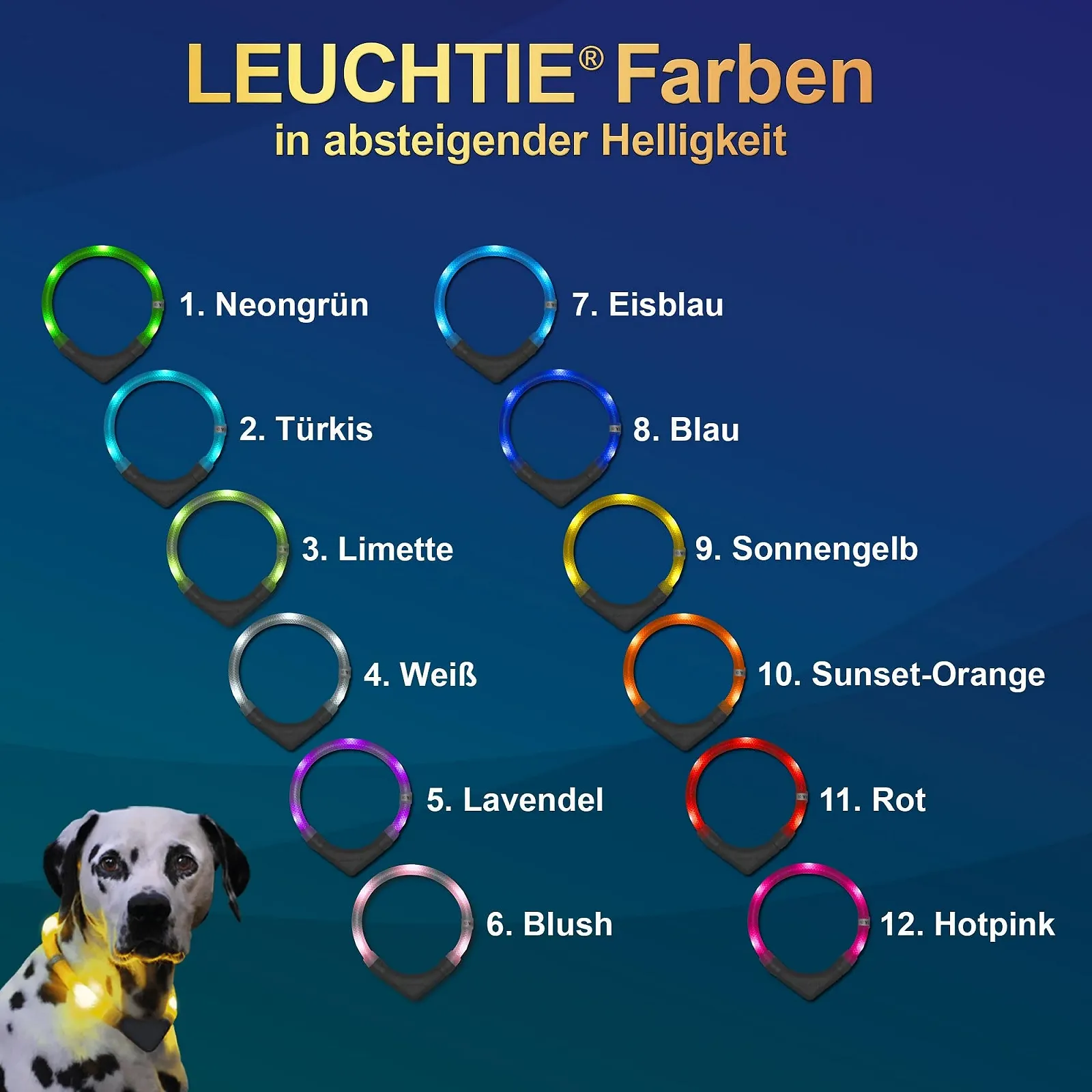 Ошейник светодиодный LEUCHTIE Plus NL водонепроницаемый Бирюзовый Размер 35, фото №4