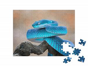 Пазл puzzleYOU Snakes, Animals in Jungle & Rainforest Blue Viper Snake, Close Up Face 100 элементов цена на synthetic.ua - Фото 1 Пазл puzzleYOU Snakes, Animals in Jungle & Rainforest Blue Viper Snake, Close Up Face 100 элементов synthetic.ua - Фото 1