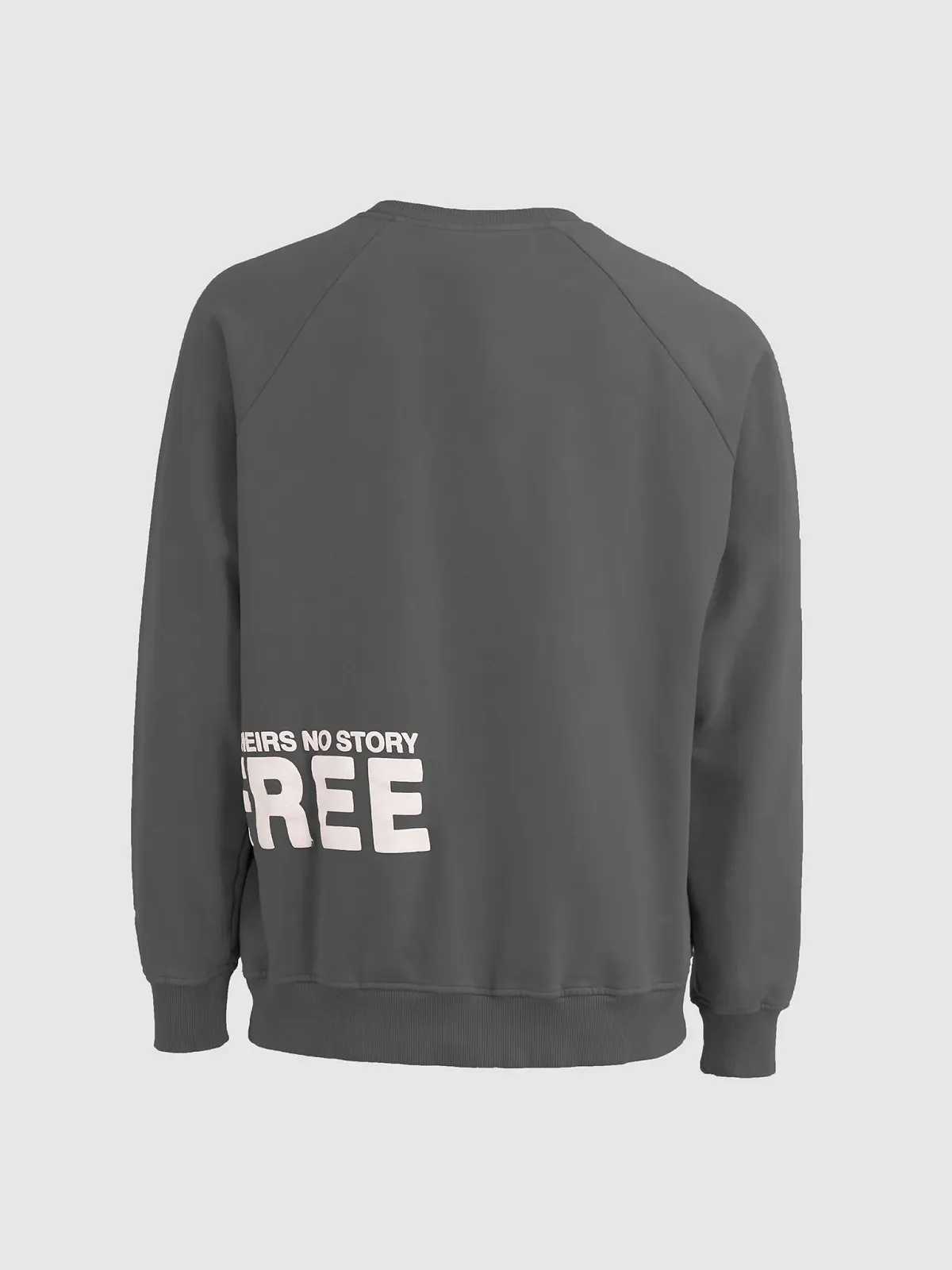 Чоловічий Світшот LTB POREME Smoked Pearl M, фото №2