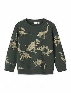 Реглан NAME IT Nmmnilaus LS Nreg Sweat Bru для хлопчиків - Фото 1